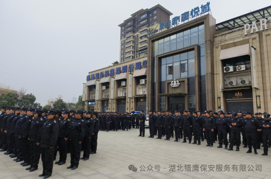 獵鷹保安|護航“夢之藍(lán)M6+襄陽群星演唱會”